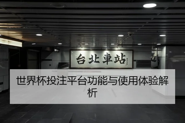 世界杯投注平台功能与使用体验解析